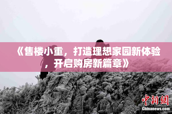 《售楼小重，打造理想家园新体验，开启购房新篇章》
