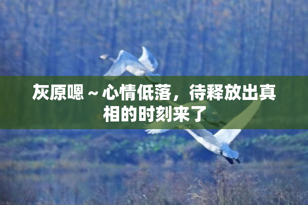 灰原嗯～心情低落，待释放出真相的时刻来了