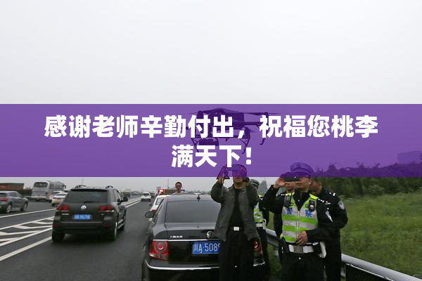 感谢老师辛勤付出，祝福您桃李满天下！