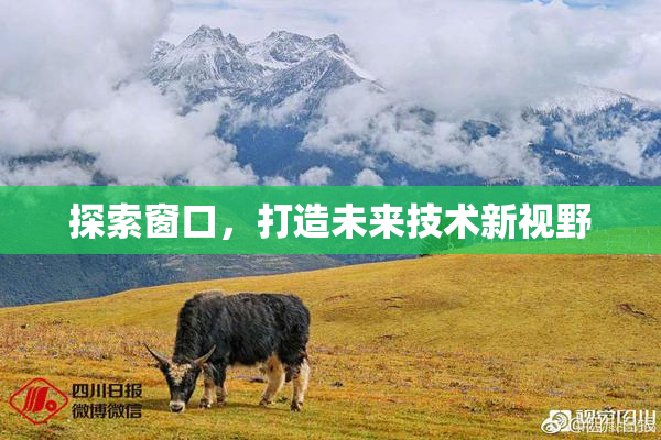 探索窗口，打造未来技术新视野