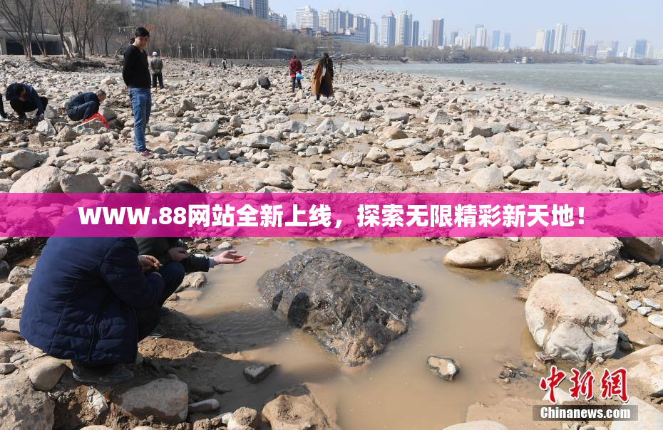 WWW.88网站全新上线，探索无限精彩新天地！