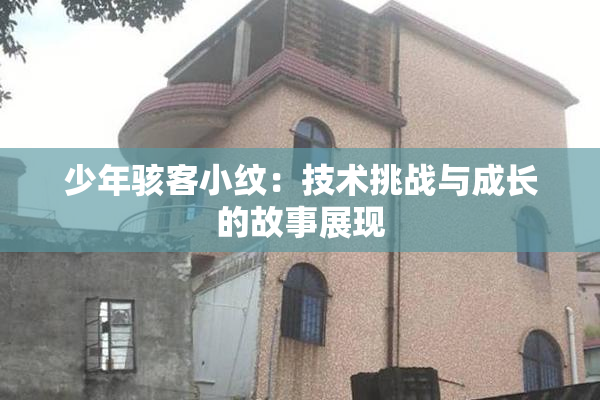 少年骇客小纹：技术挑战与成长的故事展现