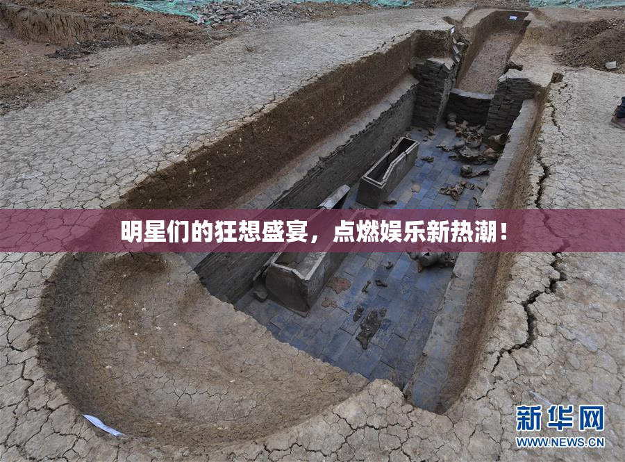 明星们的狂想盛宴，点燃娱乐新热潮！
