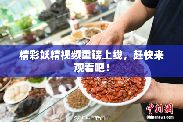 精彩妖精视频重磅上线，赶快来观看吧！