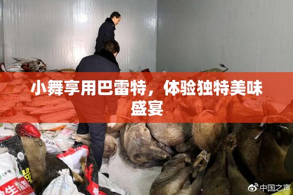 小舞享用巴雷特，体验独特美味盛宴