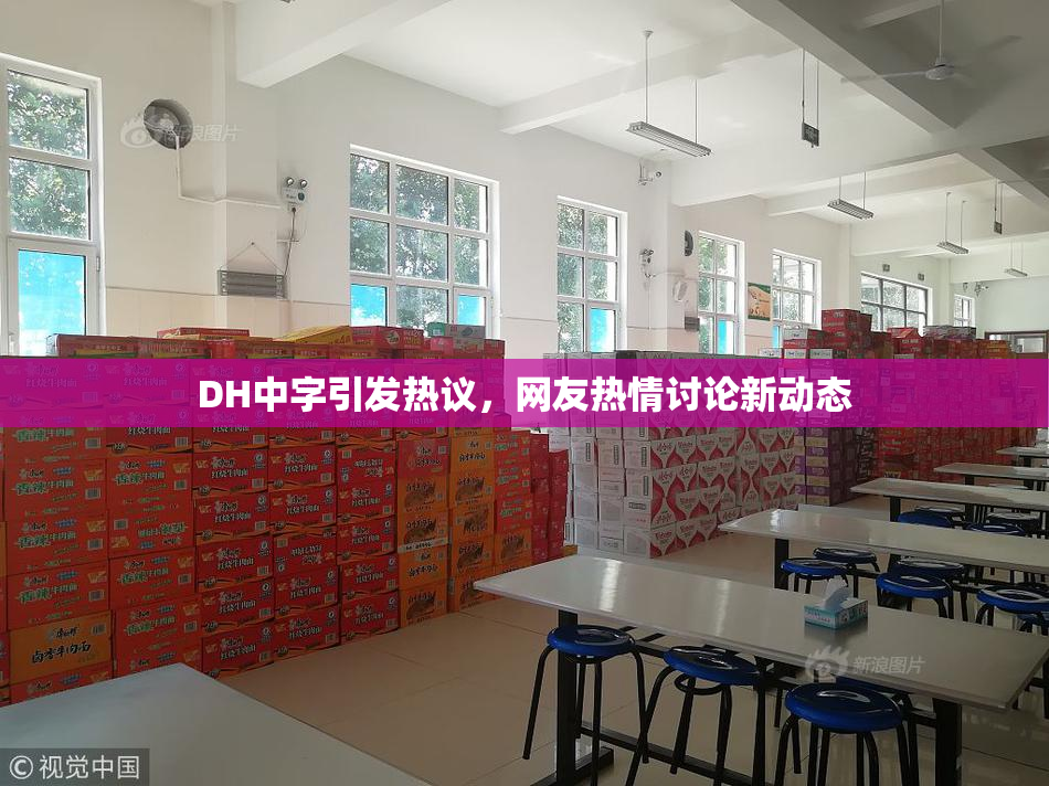 DH中字引发热议，网友热情讨论新动态