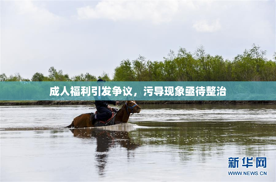 成人福利引发争议，污导现象亟待整治