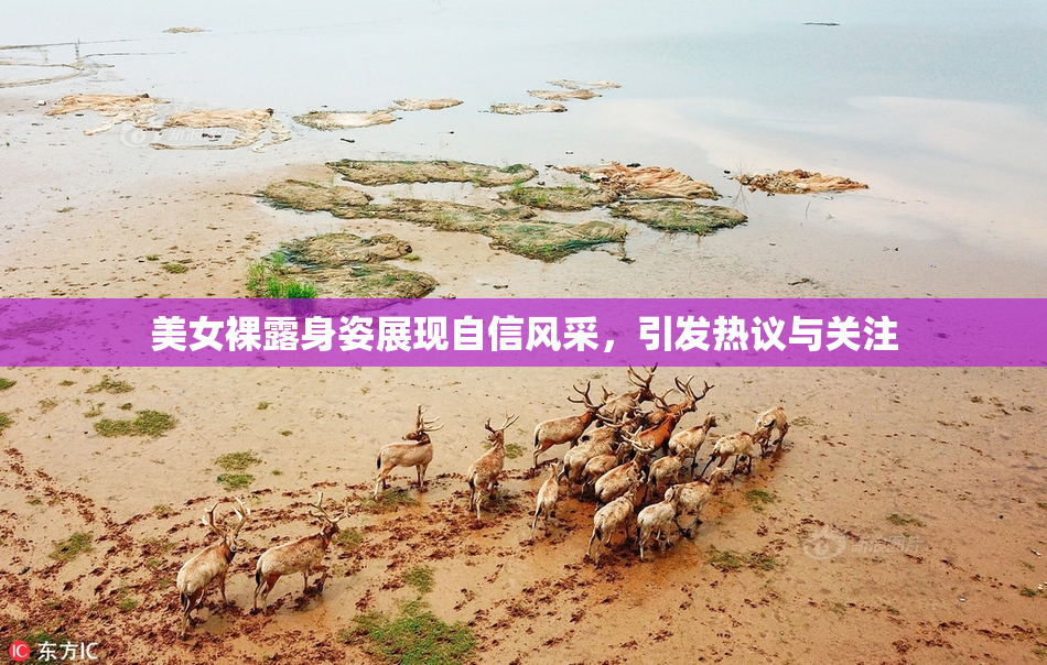 美女裸露身姿展现自信风采，引发热议与关注