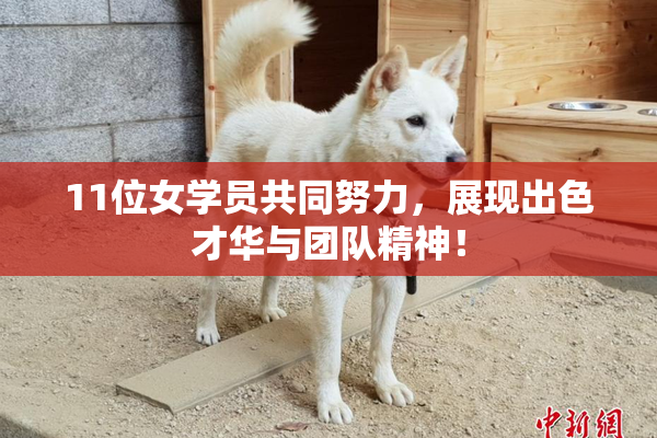 11位女学员共同努力，展现出色才华与团队精神！