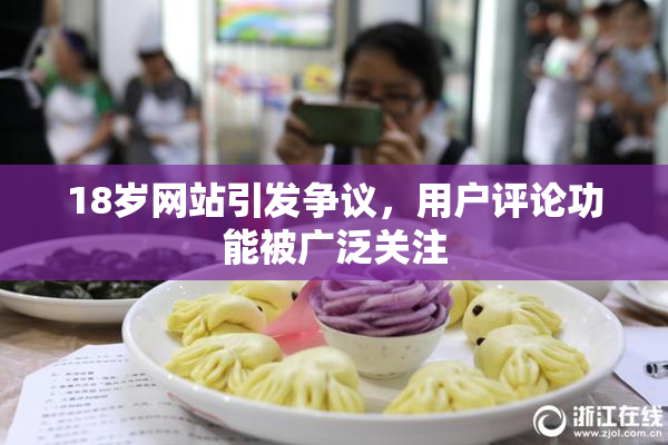 18岁网站引发争议，用户评论功能被广泛关注