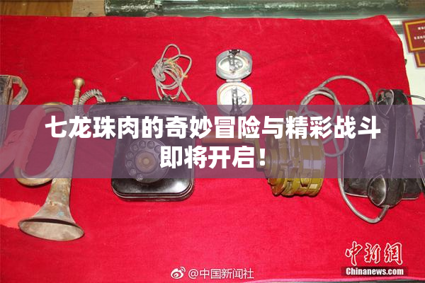 七龙珠肉的奇妙冒险与精彩战斗即将开启！