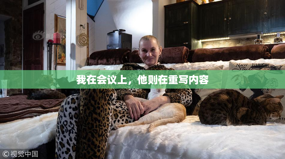 我在会议上，他则在重写内容