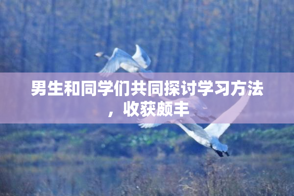男生和同学们共同探讨学习方法，收获颇丰