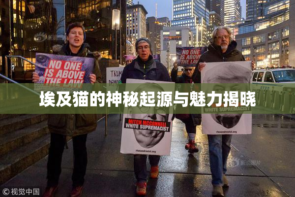 埃及猫的神秘起源与魅力揭晓