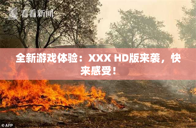全新游戏体验：XXX HD版来袭，快来感受！