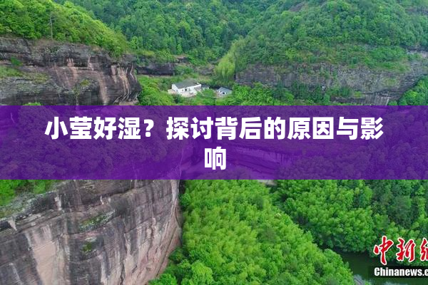 小莹好湿？探讨背后的原因与影响
