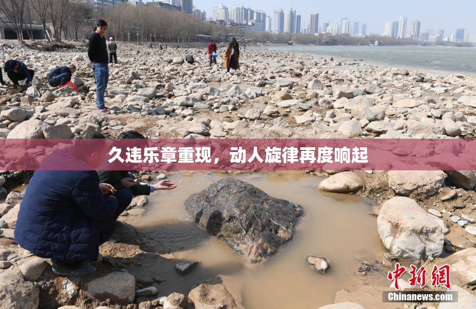 久违乐章重现，动人旋律再度响起