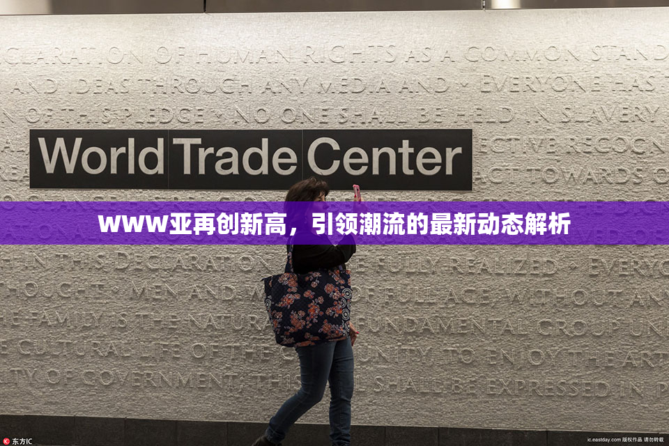 WWW亚再创新高，引领潮流的最新动态解析