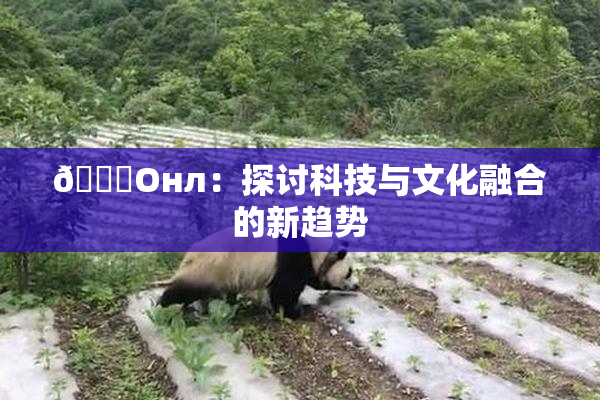 🐔Oнл：探讨科技与文化融合的新趋势
