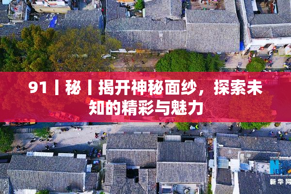 91丨秘丨揭开神秘面纱，探索未知的精彩与魅力