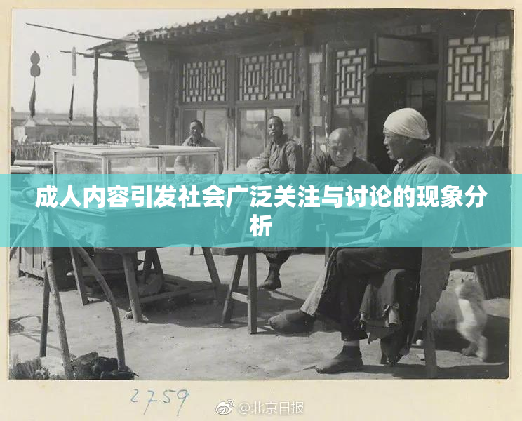 成人内容引发社会广泛关注与讨论的现象分析