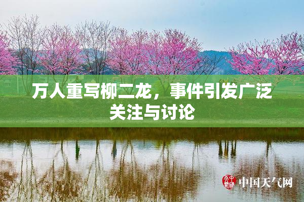 万人重写柳二龙，事件引发广泛关注与讨论