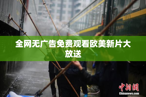 全网无广告免费观看欧美新片大放送