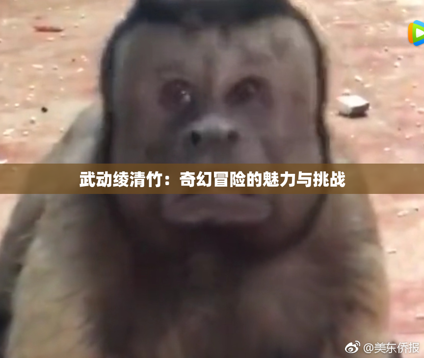 武动绫清竹：奇幻冒险的魅力与挑战