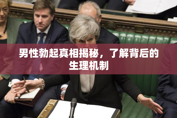 男性勃起真相揭秘，了解背后的生理机制