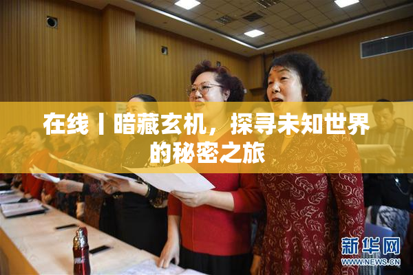 在线丨暗藏玄机，探寻未知世界的秘密之旅