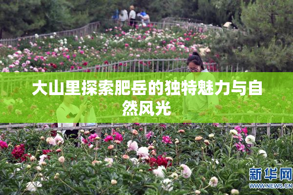 大山里探索肥岳的独特魅力与自然风光