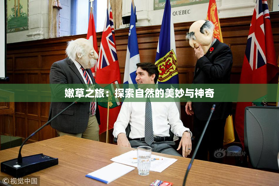 嫩草之旅：探索自然的美妙与神奇