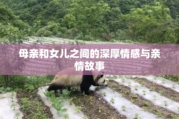 母亲和女儿之间的深厚情感与亲情故事