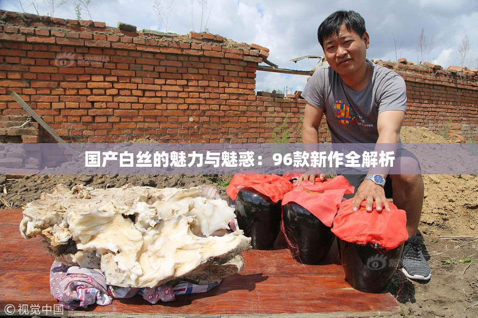 国产白丝的魅力与魅惑：96款新作全解析