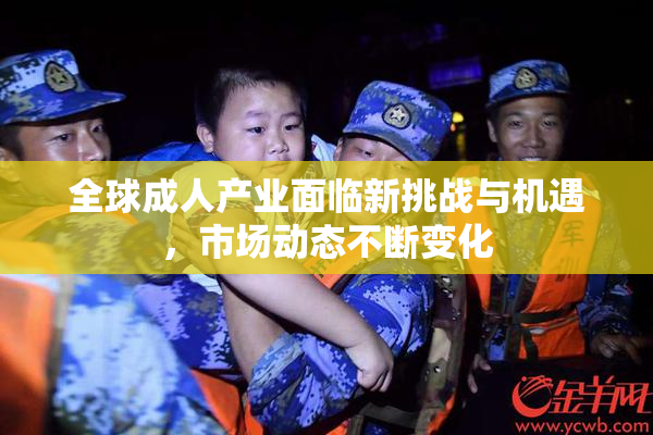 全球成人产业面临新挑战与机遇，市场动态不断变化