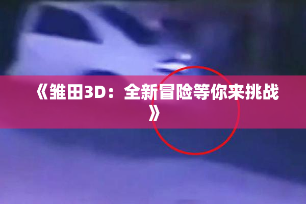 《雏田3D：全新冒险等你来挑战》