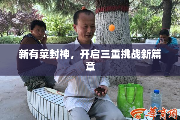 新有菜封神，开启三重挑战新篇章
