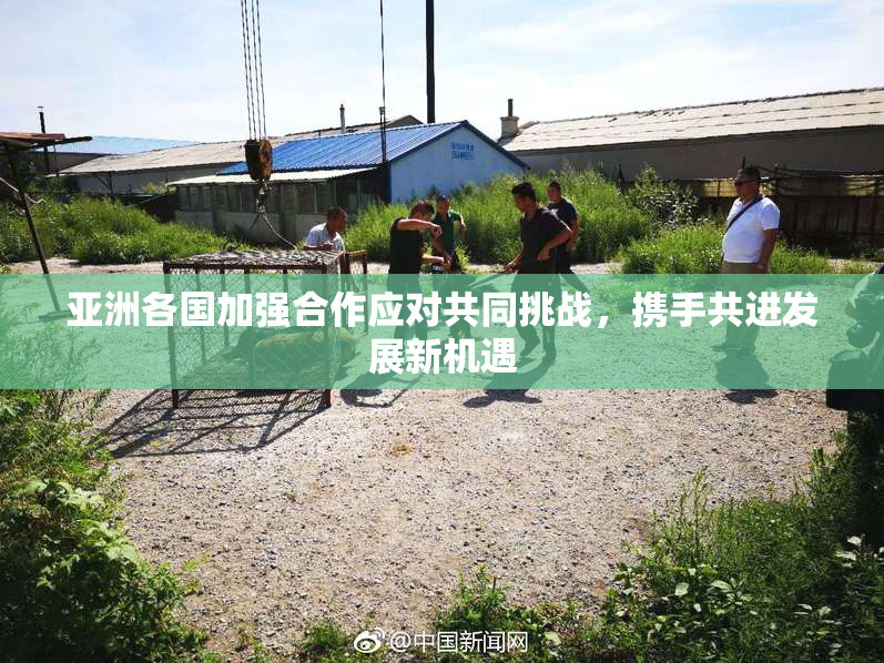 亚洲各国加强合作应对共同挑战，携手共进发展新机遇