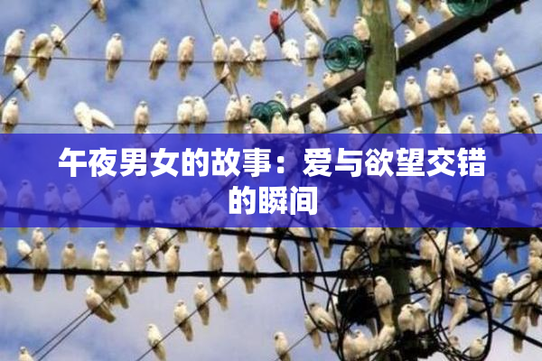 午夜男女的故事：爱与欲望交错的瞬间