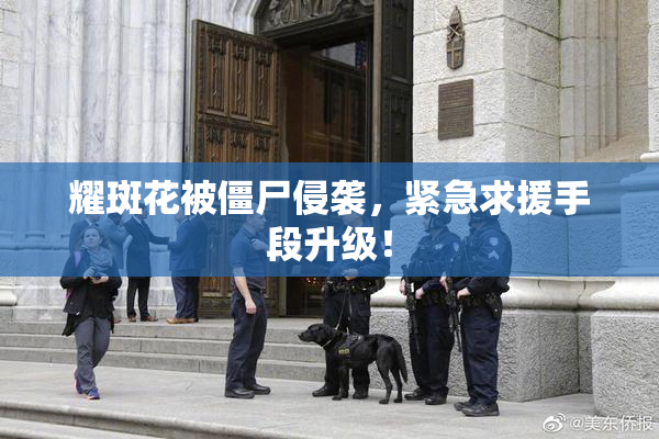 耀斑花被僵尸侵袭，紧急求援手段升级！
