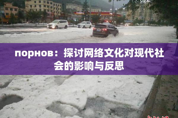 порнов：探讨网络文化对现代社会的影响与反思
