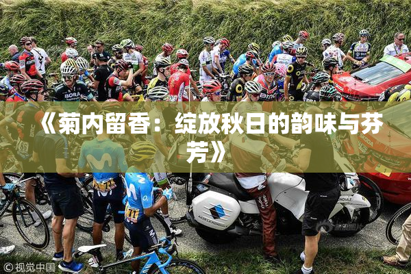 《菊内留香：绽放秋日的韵味与芬芳》