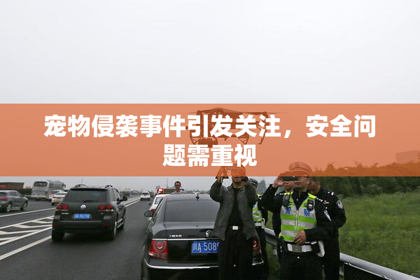 宠物侵袭事件引发关注，安全问题需重视