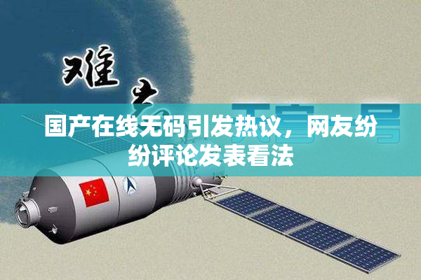国产在线无码引发热议，网友纷纷评论发表看法
