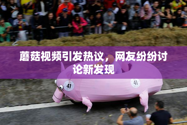 蘑菇视频引发热议，网友纷纷讨论新发现