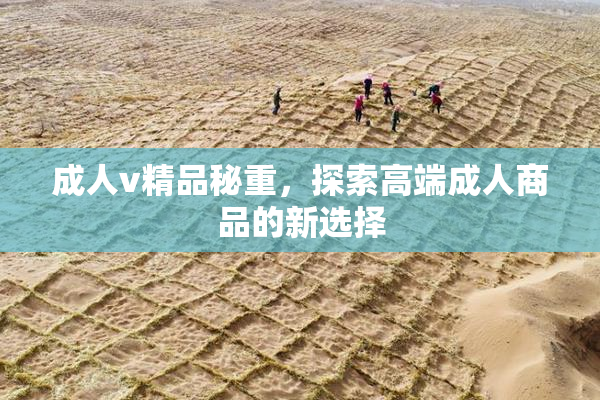 成人v精品秘重，探索高端成人商品的新选择