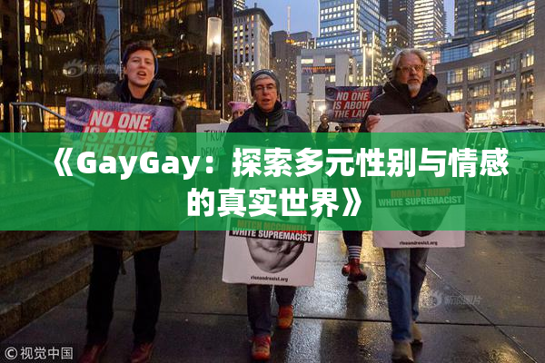 《GayGay：探索多元性别与情感的真实世界》