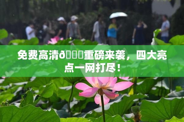 免费高清🔞重磅来袭，四大亮点一网打尽！