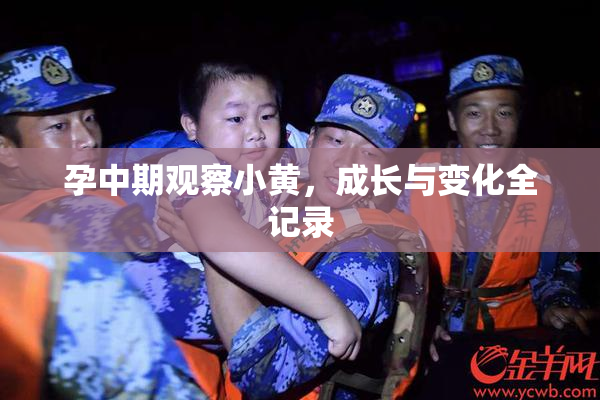 孕中期观察小黄，成长与变化全记录