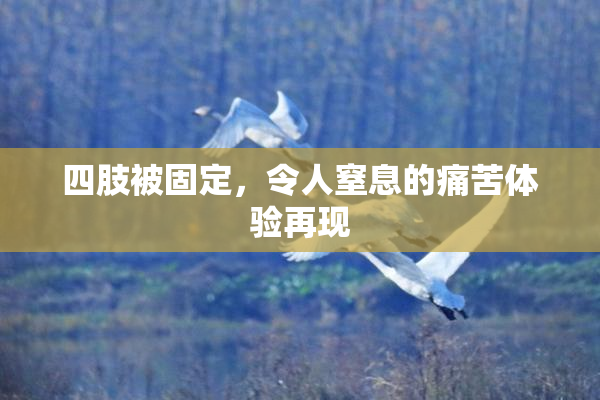 四肢被固定，令人窒息的痛苦体验再现
